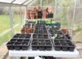 11 Essential Greenhouse Supplies to Get Started