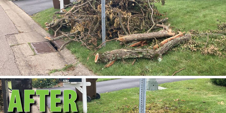 Curbside Yard Debris Pickup in Fuquay-Varina, NC - Kennys Tree Removal