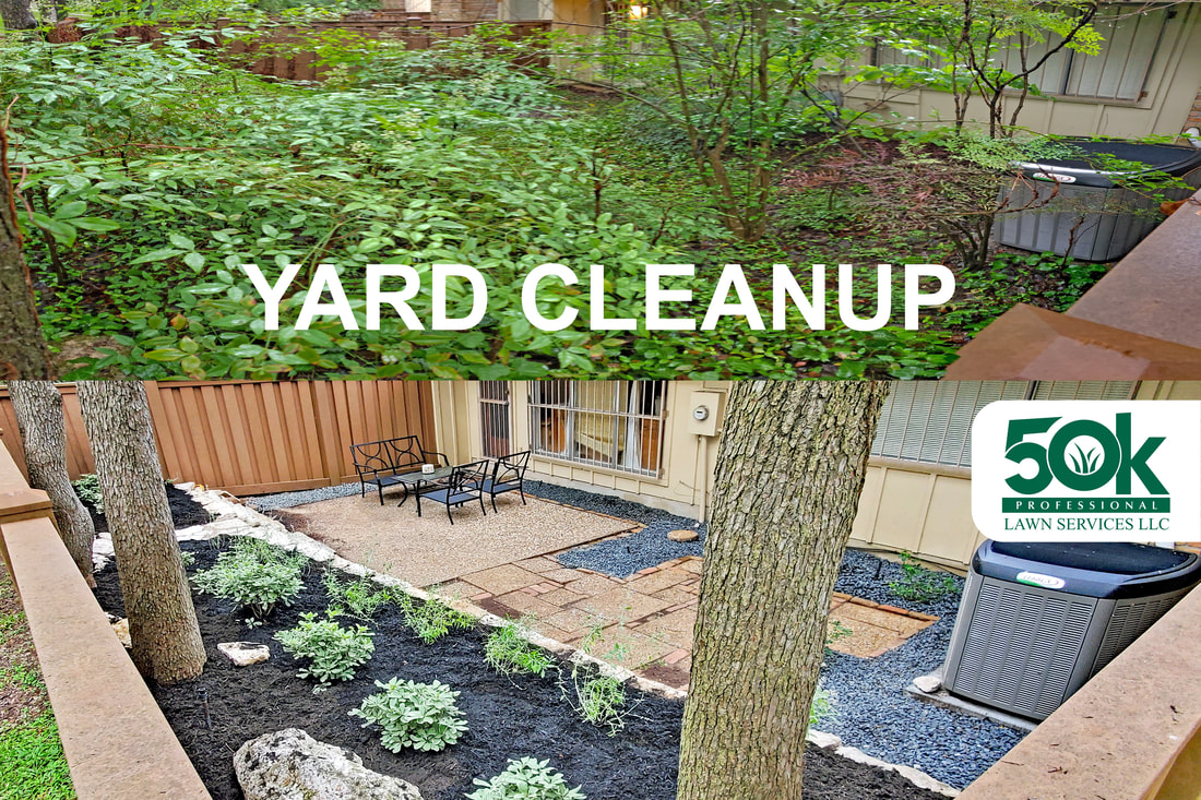 Organic Lawn Care Blog